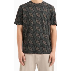 Men Print Regular Fit Crew-Neck T-Shirt For Men